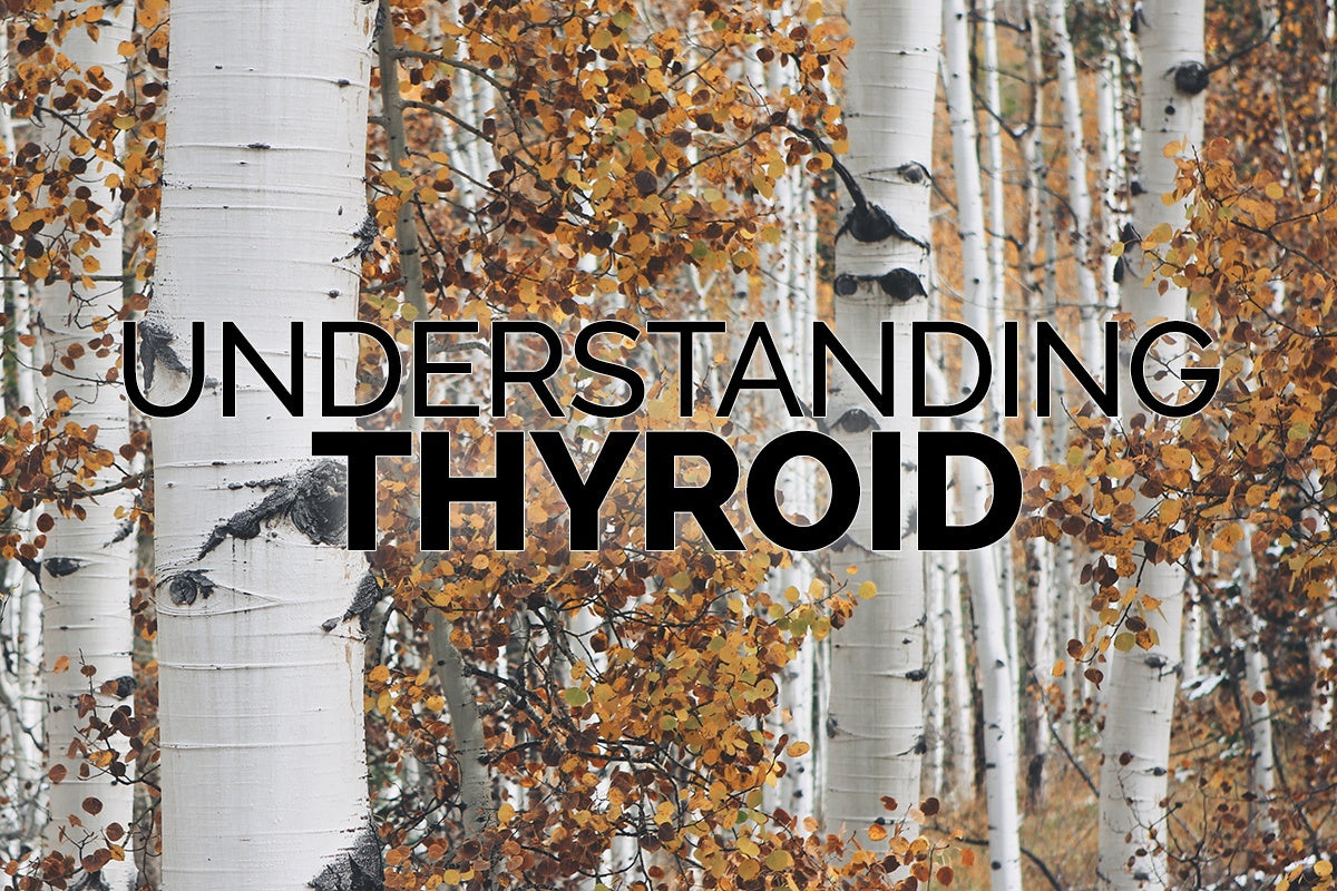 Understanding Thyroid Ask Joe DiMatteo Understanding thyroid ask joe dimatteo