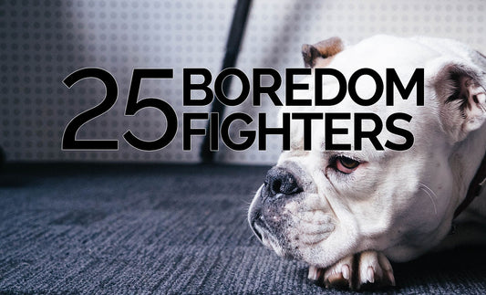25 Boredom Fighters