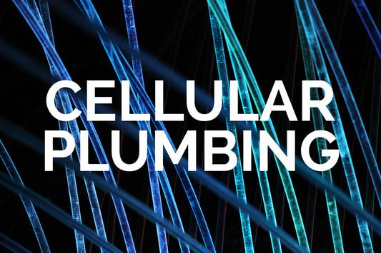 Cellular Plumbing