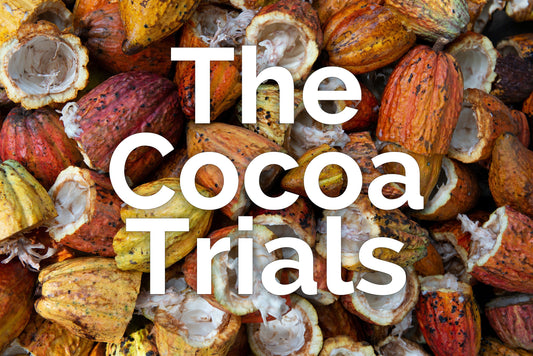 The Cocoa Trials