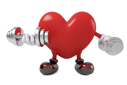 A heart lifting dumbbells, heart health.