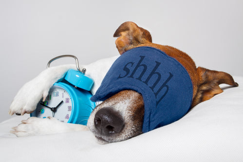 Your Diet Can Affect Your Sleep