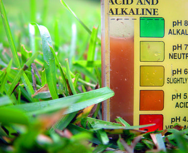 Alkalizing Your Diet