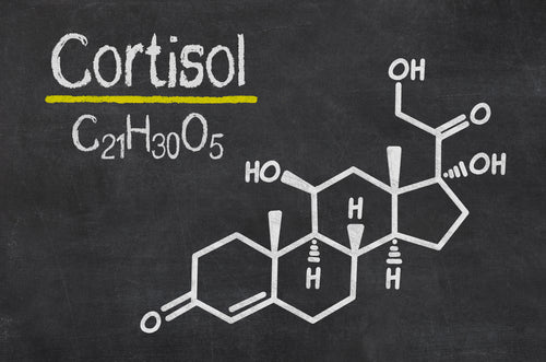 Blackboard with the chemical formula of cortisol