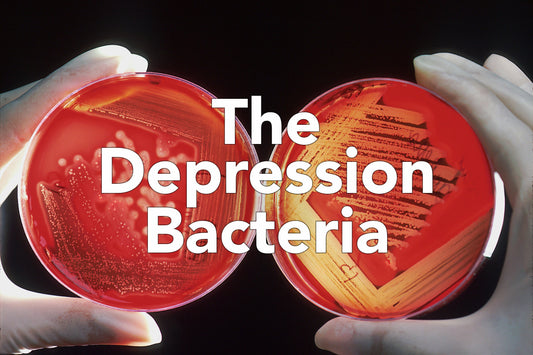 The Depression Bacteria