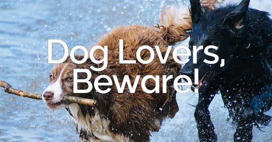 Dog Lovers, Beware!