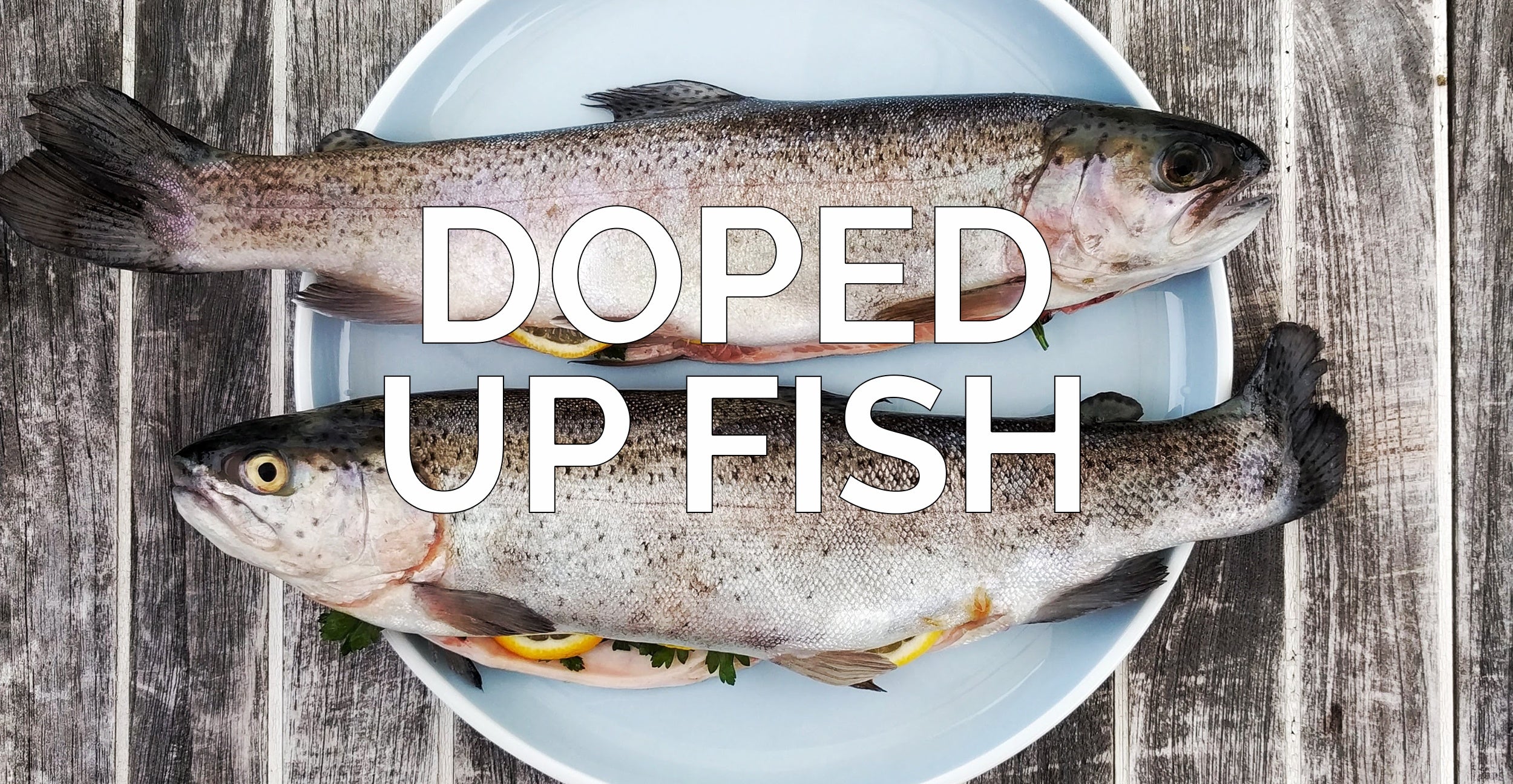 Doped Up Fish – Ask Joe DiMatteo