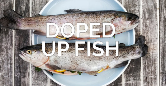 Doped Up Fish