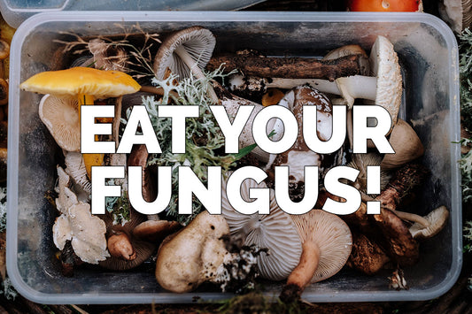 Eat Your Fungus!