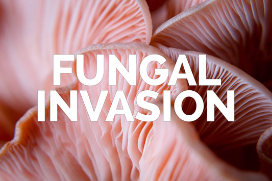 Fungal Invasion