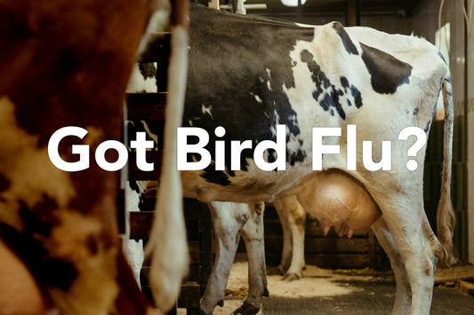 Got Bird Flu?