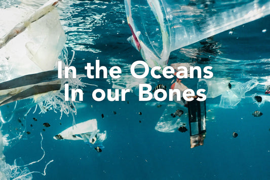 In the Oceans, In our Bones