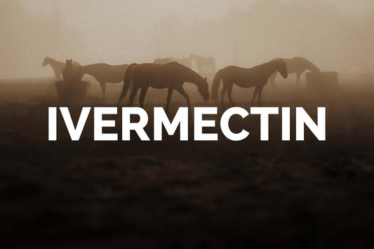 Ivermectin