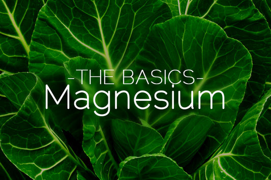 The Basics: Magnesium