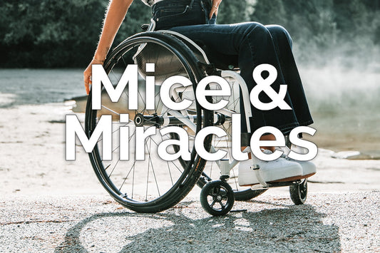 Mice & Miracles