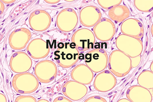 More Than Storage