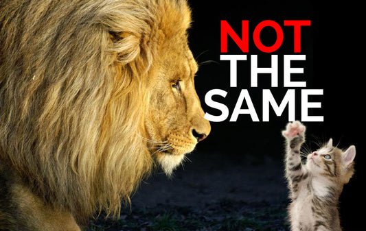 Not The Same