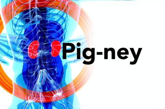 Pig-ney