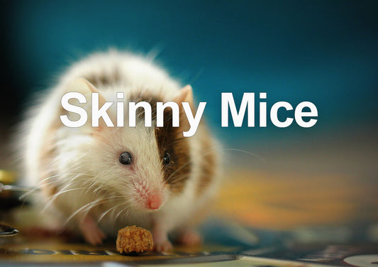 Skinny Mice