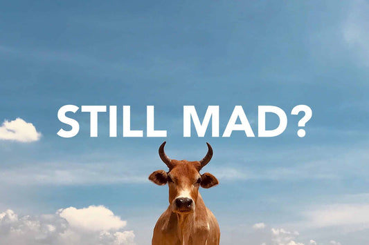 Still Mad?