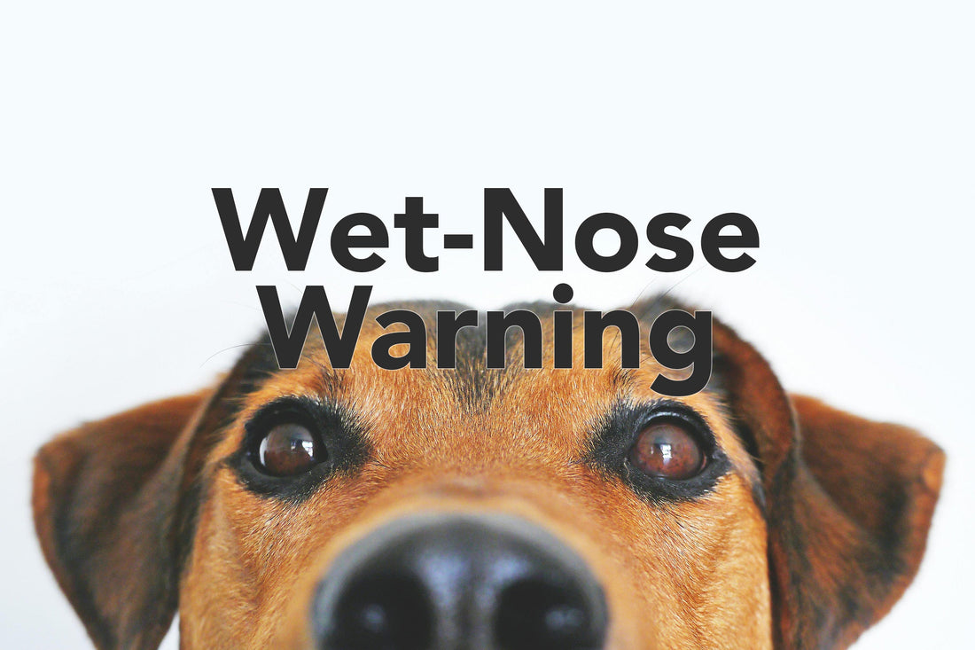 Wet-Nose Warning