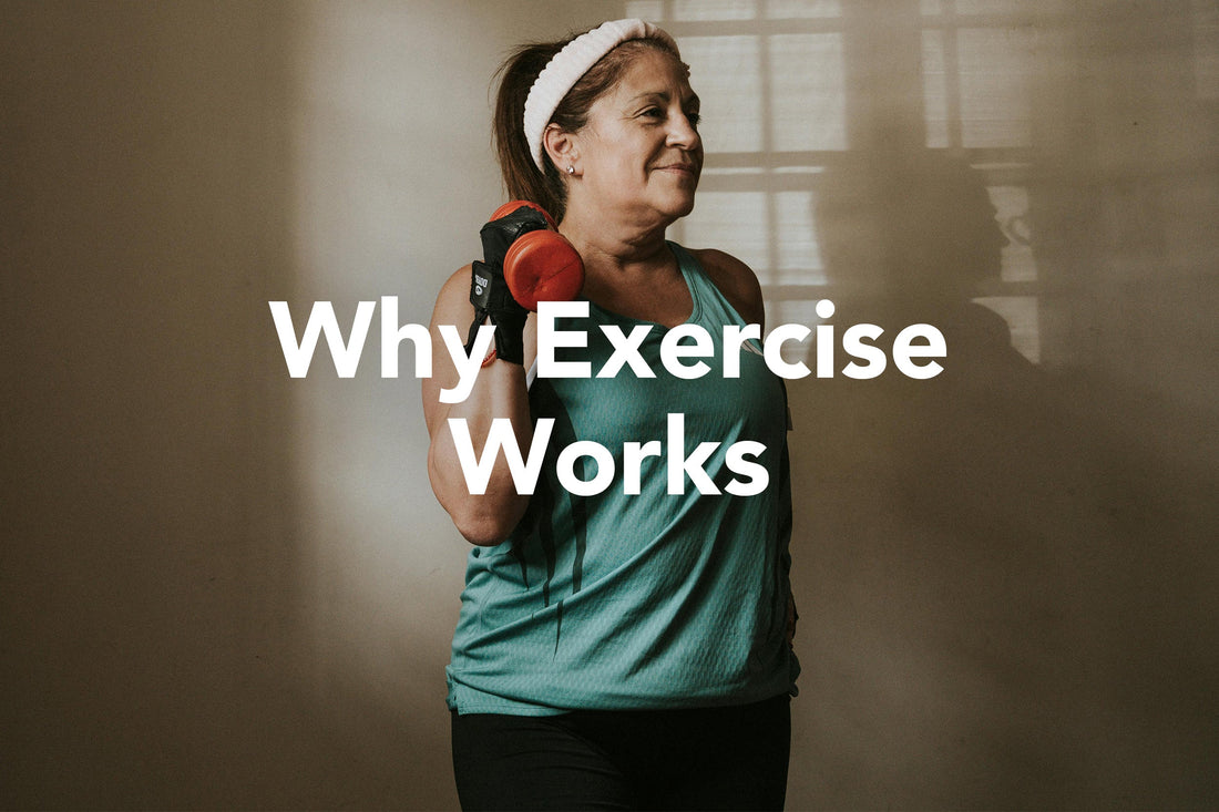 Why Exercise Works