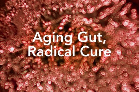 Aging Gut, Radical Cure
