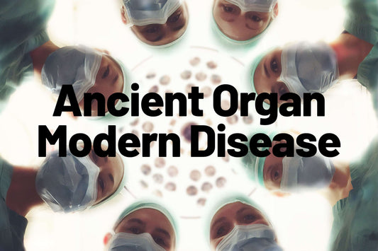 Ancient Organ, Modern Disease