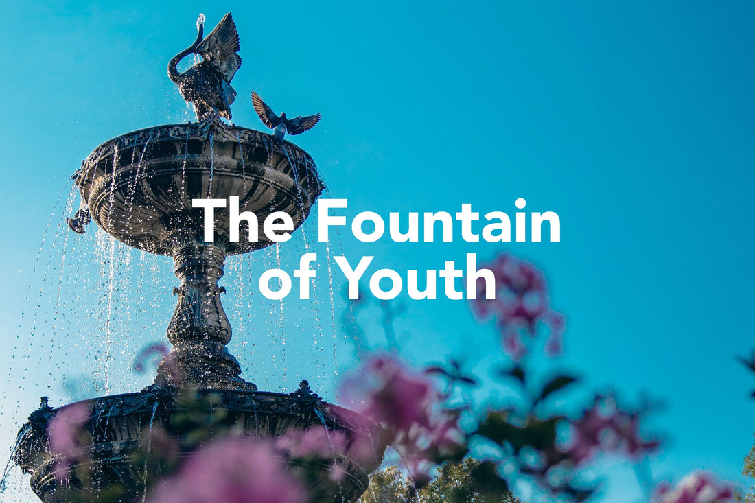 The Fountain of Youth