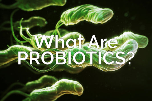 What are probiotics?