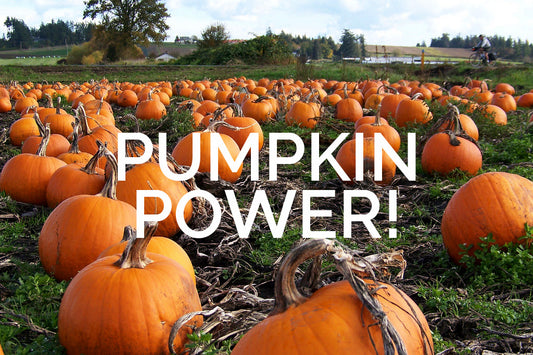 Pumpkin Power!