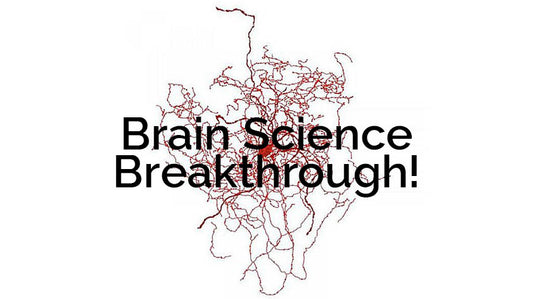 Brain Science Breakthrough!