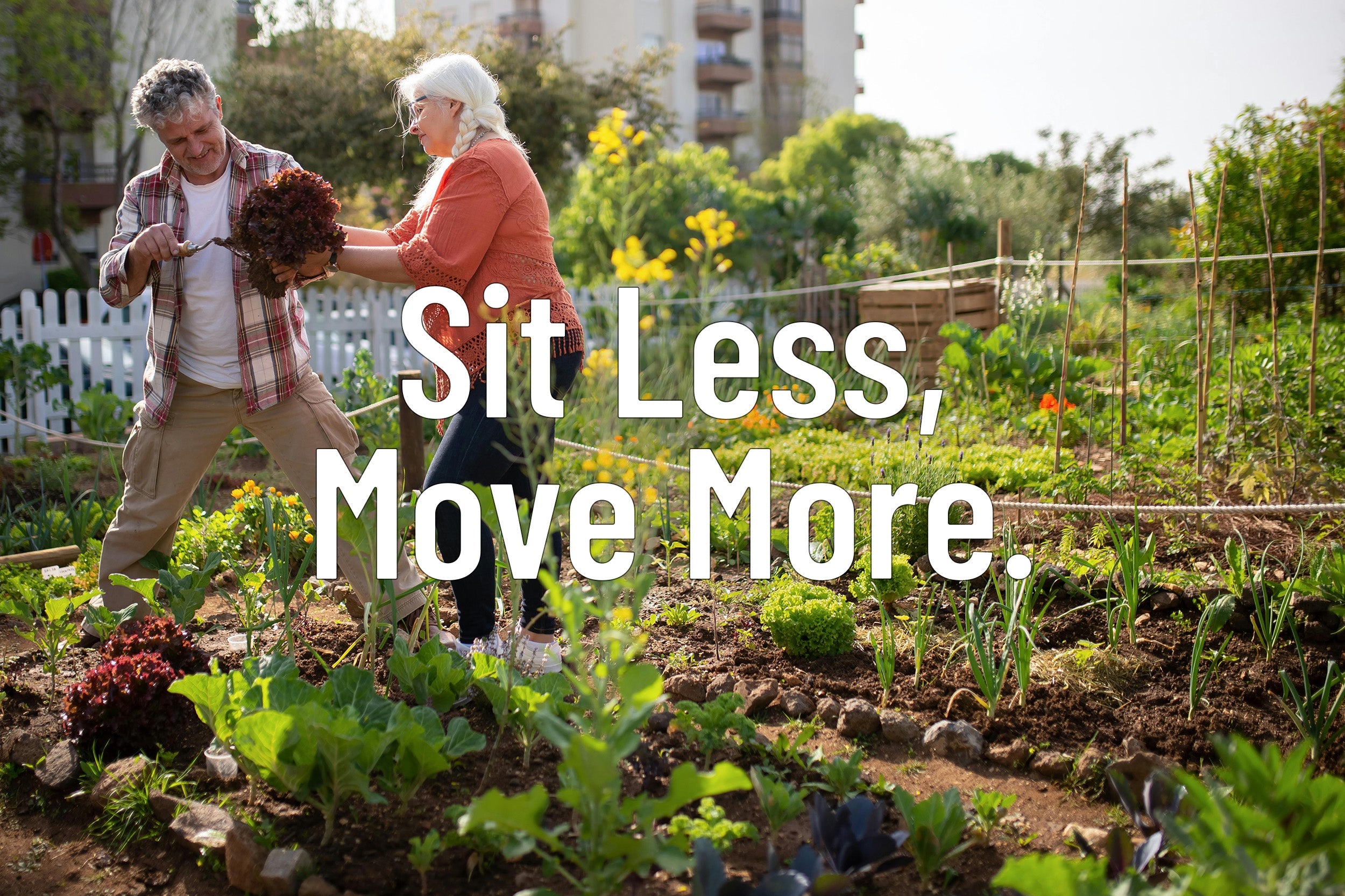 Sit Less, Move More โ Ask Joe DiMatteo
