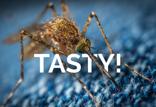 Tasty!