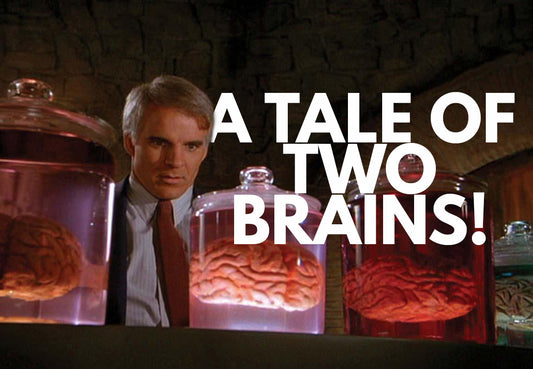 A Tale of Two Brains
