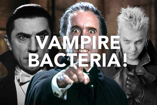 Vampire Bacteria!