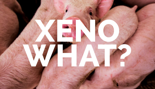 Xeno What?