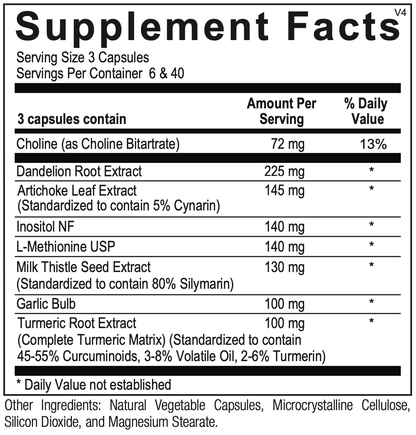 Multi Phase Liver Essentials